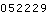 052229